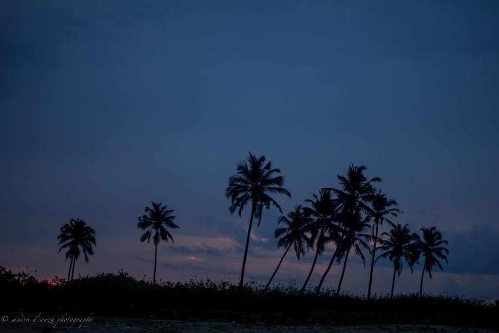 Pele'S Windsong Wood Cottage On The Beach Benaulim Exterior photo